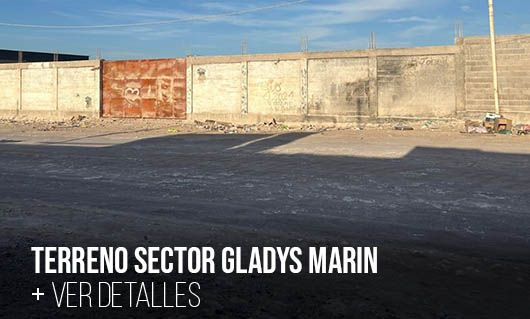 scroller-terreno-gladysmarin-altohospicio